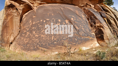 Newspaper Rock Petroglyph Foto Stock