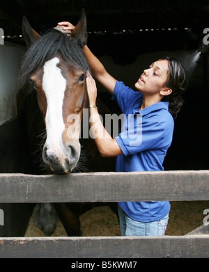 Una ragazza adolescente stallieri il suo cavallo nella stalla, Cambridgeshire, Inghilterra Foto Stock