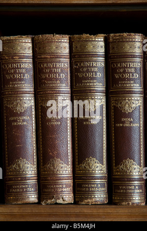 Riferimento vecchi libri su uno scaffale, REGNO UNITO Foto Stock