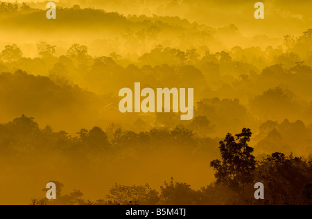 Colori dorati di misty zona collinare con raggio di luce Foto Stock