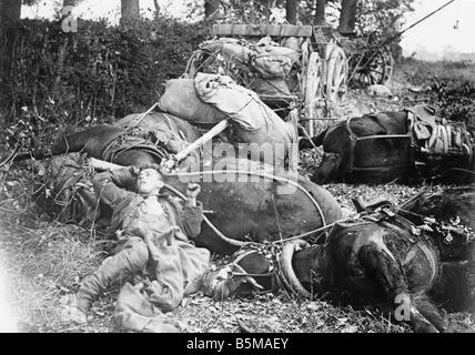 2 G55 W1 1918 18 morti tedesco horse I Guerra Mondiale 1918 Storia Prima Guerra Mondiale fronte occidentale un esercito tedesco munizioni carrello colpito da un Eng Foto Stock