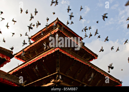 Tetto del tempio di Vishnu, Durbar Square, Kathmandu, Nepal, Asia Foto Stock