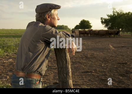 Un uomo in un ranch appoggiato su di un palo da recinzione Foto Stock