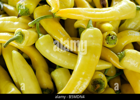 Banana dolce peperoni sono mite con un lieve calore e sono comunemente decapati e servita con panini e insalate Foto Stock