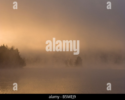 Fiume Saint John nella nebbia di sunrise Foto Stock