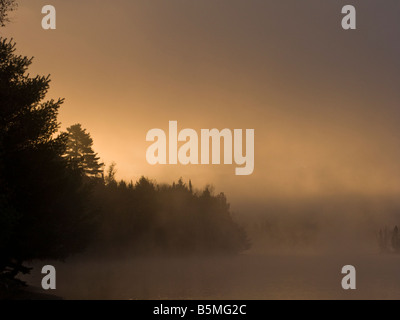 Fiume Saint John nella nebbia di sunrise Foto Stock