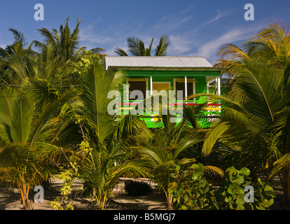 CAYE CAULKER BELIZE - Verde cottage su palafitte accoccolato tra alberi di palma Foto Stock