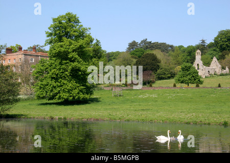 Cigni sul fiume dalla vecchia chiesa rovina e Manor House in Norfolk Inghilterra Foto Stock