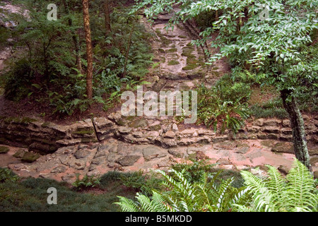 Un sentiero in pietra andando attraverso una lussureggiante foresta Foto Stock