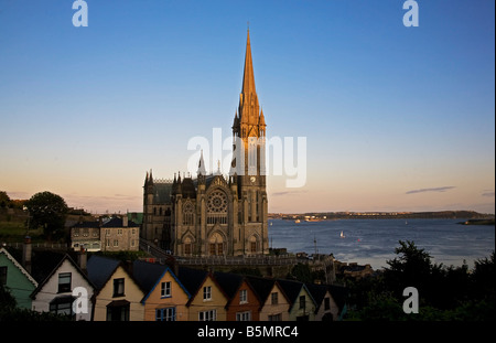 Luce della Sera su St Coleman's Cathedral, Cobh, con il Porto di Cork in background, County Cork, Irlanda Foto Stock