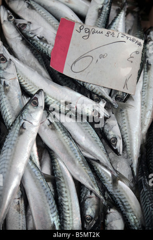 Sgombri in un mercato del pesce di Trapani, Sicilia, Italia. Foto Stock