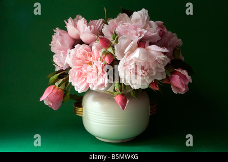 Un mazzo di rose rosa in una crema di colore vaso di ceramica, entrambe le gemme e piena di blumi, su uno sfondo verde. Foto Stock