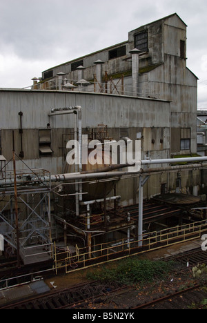 Airone cenerino Paper Company Foto Stock