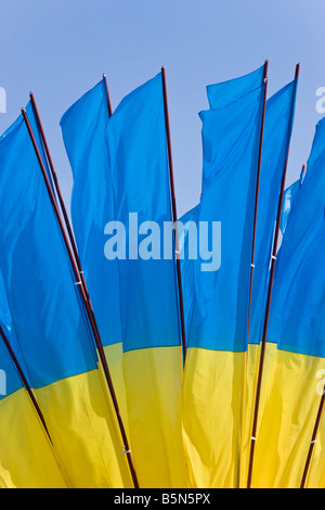 Giorno di indipendenza, ucraino bandiere nazionali battenti in Maidan Nezalezhnosti (Piazza Indipendenza), Kiev, Ucraina Foto Stock