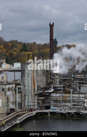 Airone cenerino Paper Company Foto Stock