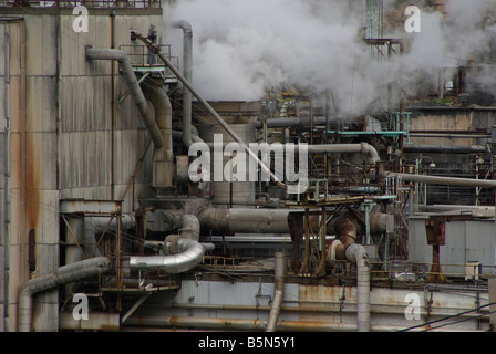 Airone cenerino Paper Company Foto Stock