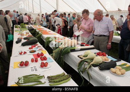 Vincitore del premio verdura alla Wensleydale mostrano nello Yorkshire, Inghilterra Foto Stock