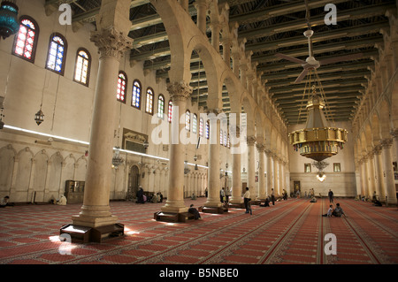 Sala di preghiera, Moschea Ummayyyad, Damasco Foto Stock