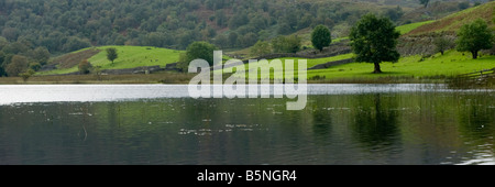 Panoramica dell'immagine ritagliata di concentrarsi di più sul verde intenso dei campi circostanti il Tarn e i muri in pietra a secco. Foto Stock