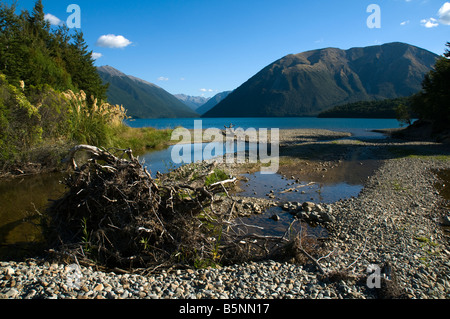 Monte Robert sul Lago Rotoiti da St. Arnaud, Parco Nazionale dei Laghi di Nelson, Isola del Sud, Nuova Zelanda Foto Stock