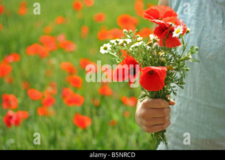 Bouquet di fiori di campo. Papaveri, margherite. Foto Stock