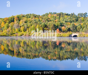 Caduta di alberi sono riflessi nel fiume Connecticut. Foto Stock