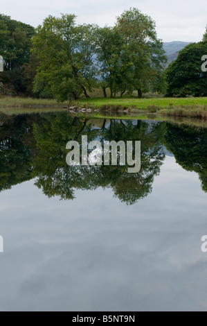 Un piccolo gruppo di alberi perfettamente speculare in Elter Walter; guardando ad ovest verso Lingmoor cadde. Foto Stock