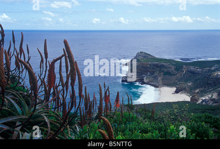 Una vista di Bartolomeo Diaz Beach, Capo di Buona Speranza, Sud Africa. Foto Stock