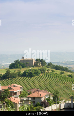 Chiesa con alberi di olivo nelle Marche Foto Stock