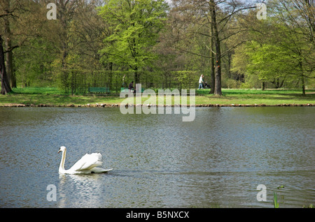Swan nuoto nel lago a Charlottenburg Palace Gardens Berlino Germania Aprile 2008 Foto Stock