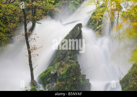 Magazzino Ghyll cascata e il bosco circostante in autunno colori in Ambleside Lake District UK Foto Stock