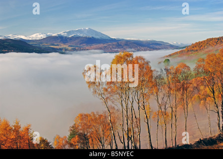 Vista in elevazione del Tummel Valley vicino a Pitlochry Perthshire Scozia UK Foto Stock