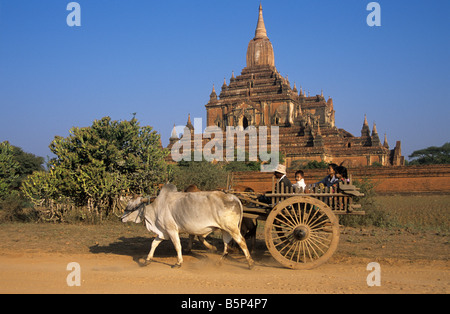 Una famiglia di birmani in un bue carrello passano davanti al Salamani buddista di Tempio di Bagan, Birmania o Myanmar Foto Stock