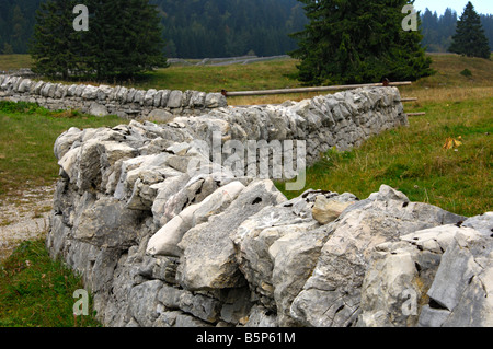 Asciugare la parete in pietra tradizionale scherma di pascolo nella regione del Giura, Col du Marchairuz, canton Vaud, Svizzera Foto Stock
