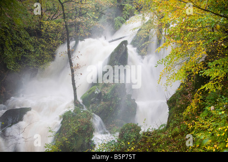 Magazzino Ghyll cascata e il bosco circostante in autunno colori in Ambleside Lake District UK Foto Stock