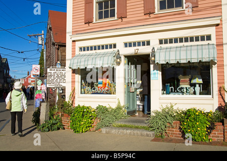 Store in orso pelle collo Rockport Cape Ann una maggiore area di Boston Massachusetts USA Foto Stock