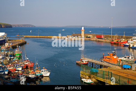 Barche da pesca a riposo nel porto costruito nel 1815 da Alexander Nimmo,, Dunmore East, nella contea di Waterford, Irlanda Foto Stock