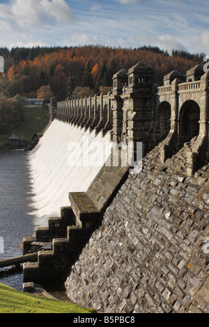 Diga di Vyrnwy visto dall'estremità nord Foto Stock