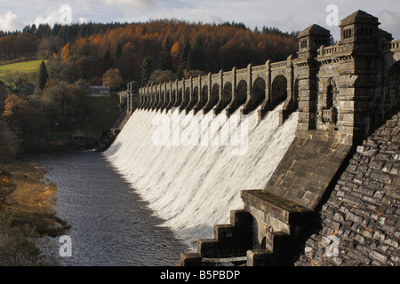 Diga di Vyrnwy visto dall'estremità nord Foto Stock