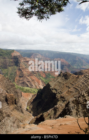 Il Canyon di Waimea a Kauai Foto Stock