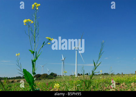 Cinque windturbines della fattoria eolica sul cielo blu e giallo con fiori selvatici - Francia Foto Stock