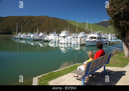 Marina Havelock Marlborough Isola del Sud della Nuova Zelanda Foto Stock