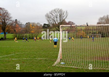 Lo sport ricreativo MOTIVI PER USO PUBBLICO WELLINGTON SOMERSET Foto Stock