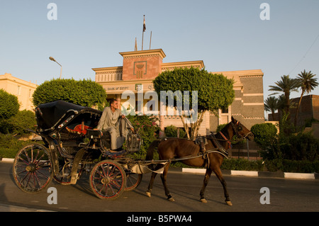 Un Calash, carrozza trainata da cavalli passano da una filiale della Banca nazionale dell'Egitto (NBE) la più antica e la più grande banca in Egitto. Aswan Foto Stock