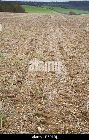 Un inverno campo arato in Chilterns Foto Stock