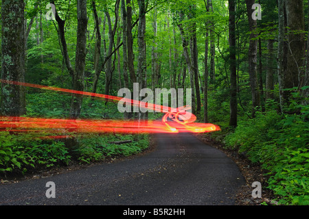 Tempo di esposizione Auto tailligthts attraverso la foresta Roaring Fork Motor sentiero natura Parco Nazionale di Great Smoky Mountains Tennessee Foto Stock