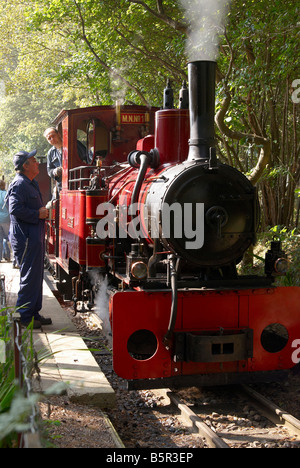 Il vecchio Forno Light Railway alla vita rurale centro, Tilford, Surrey con Orenstein & Koppel Elouise motore. Foto Stock