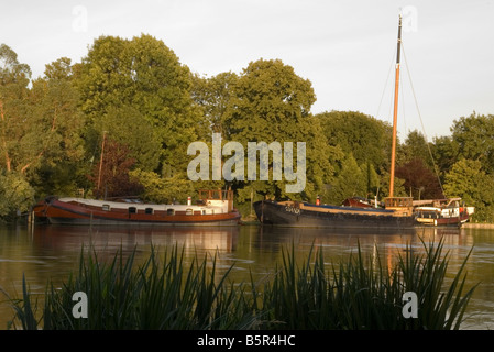 Imbarcazioni da fiume ormeggiato sul fiume Tamigi Old Windsor Foto Stock