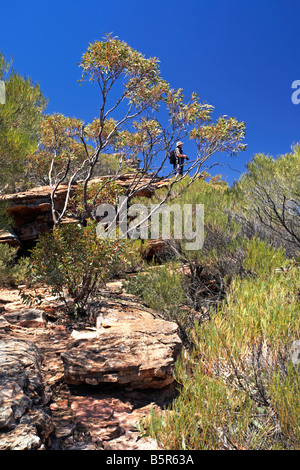 Rawnsley Bluff escursione Foto Stock