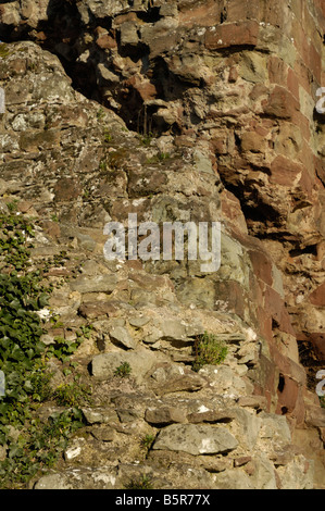 Dettaglio delle rovine del castello di Bridgnorth Foto Stock